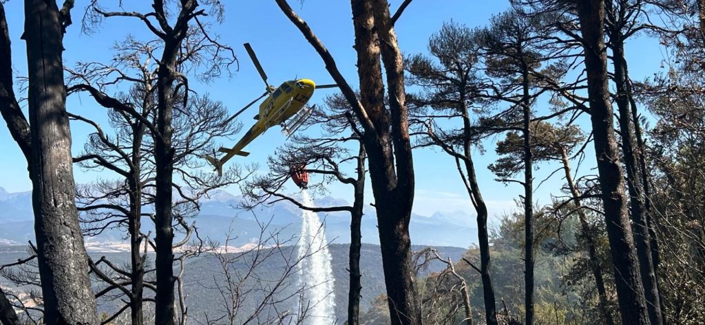 ecofire demostración real salamaq 2026